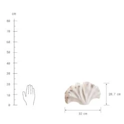 Deko-Objekt Blatt Höhe 21cm GINKGO In Creme -Dekor Haus Geschäft butlers deko objekt blatt hohe 21cm ginkgo in creme 3