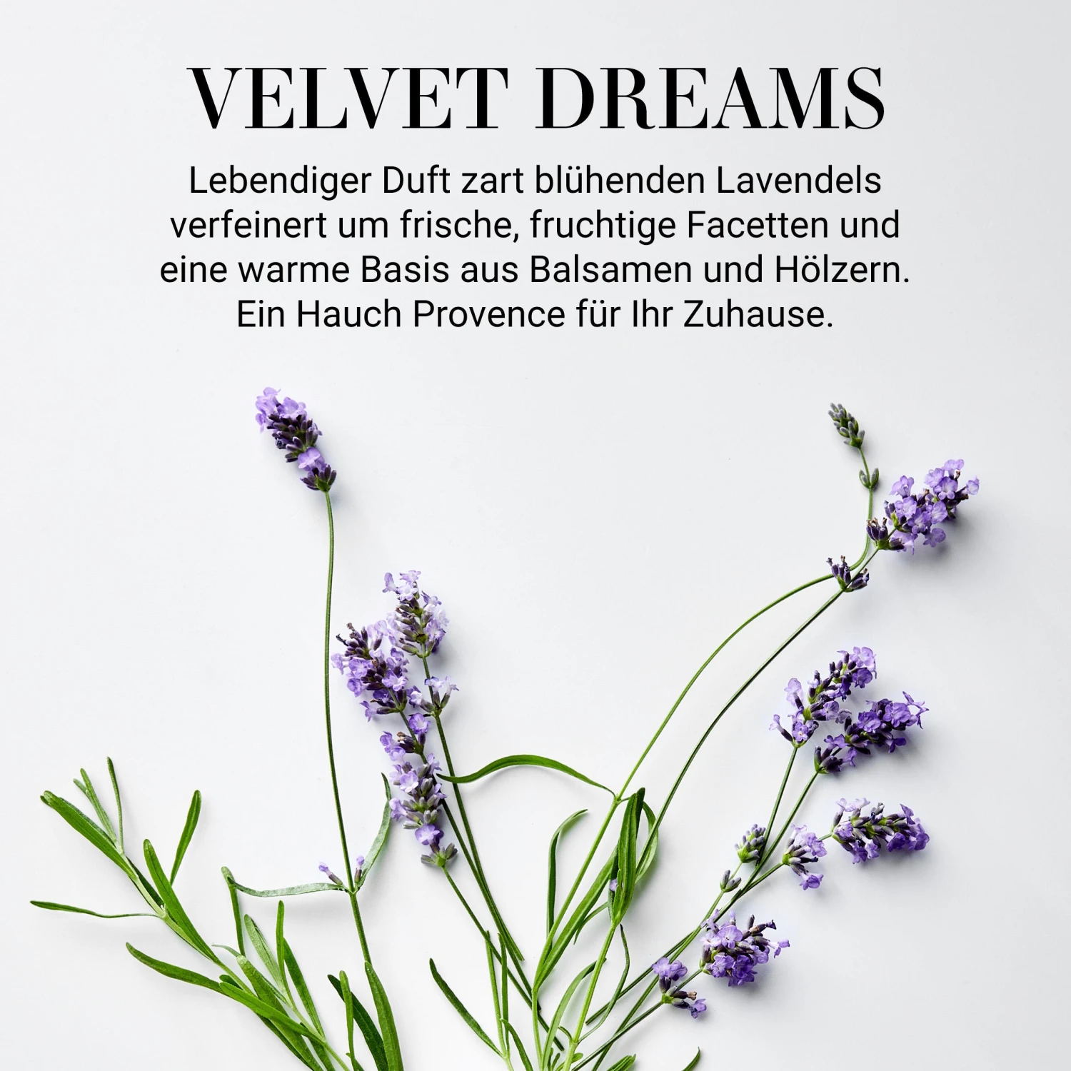 Raumduft No 3 "Velvet Dreams" 110ml HOME & SOUL In Transparent 2 Raumduft No 3 "Velvet Dreams" 110ml HOME & SOUL In Transparent – Bild 2
